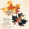 ZXMNBH 30 Pack Old Ginkgo Tree Paper for Scrapbooking view 4