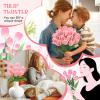 Pink Tulip Pipe Cleaners Craft Set view 4