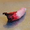 Salyeeluly Realistic Severed Finger view 2