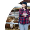 Calf Weaning Muzzle for Cows, Transparent and Breathable view 3