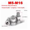 M6 M8 M10 M12 M16 304 Stainless Steel Round-Head Hex-Socket Hollow Screw, Machine-Thread Through-Hole Bolt (5-Piece Set, M12 x 20 x 6.2) view 2