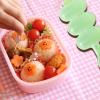 Sushi Rice Ball Maker view 2