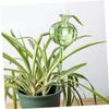 Toyvian 3-Pack Self-Watering Glass Globes for Houseplants and Cacti view 4
