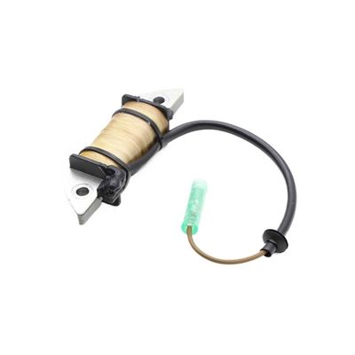 pljYocdO Motorcycle Magneto Stator Coil