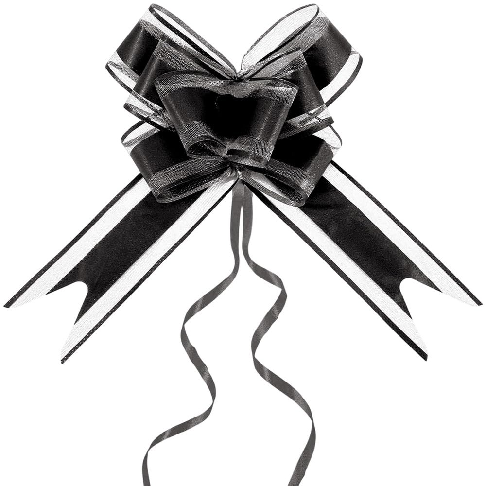 SOFPLATE 10 Pack Large Gift Bows