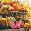 Artificial Velvet Pumpkins view 3