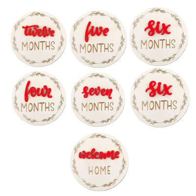 Duroecsain Baby Monthly Milestone Cards, Round Marker Discs