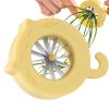 Spring Onion Chopper view 1