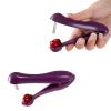 2-Piece Cherry Pitter Tool view 1
