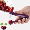 2-Piece Cherry Pitter Tool view 3
