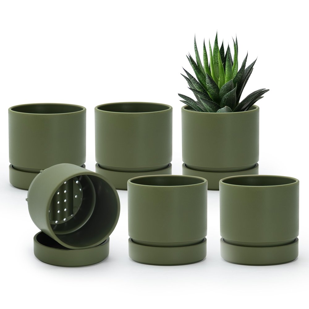 Phoenix Vine 4-Inch Planter Pots with Drainage Holes and Saucers, Olive, 6-Pack, 23-F-R-6