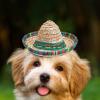 Sombrero Party Hat, Woven Mexican Sombrero with Wide Headband view 3