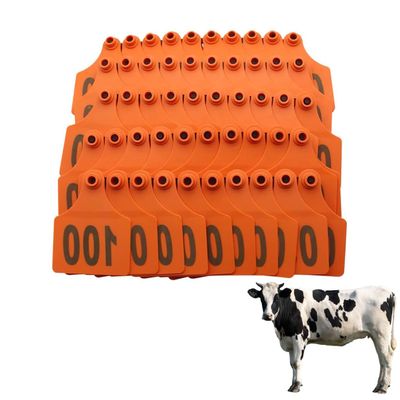 Numbered Plastic Livestock Ear Tags, 100-Pack, Orange, No. 701–800, 100 × 75 mm