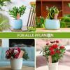 Plant Watering | 4-Piece Plant Waterers, Automatic Continuous-Drip System for Beds, Greenhouses, and Houseplants view 4