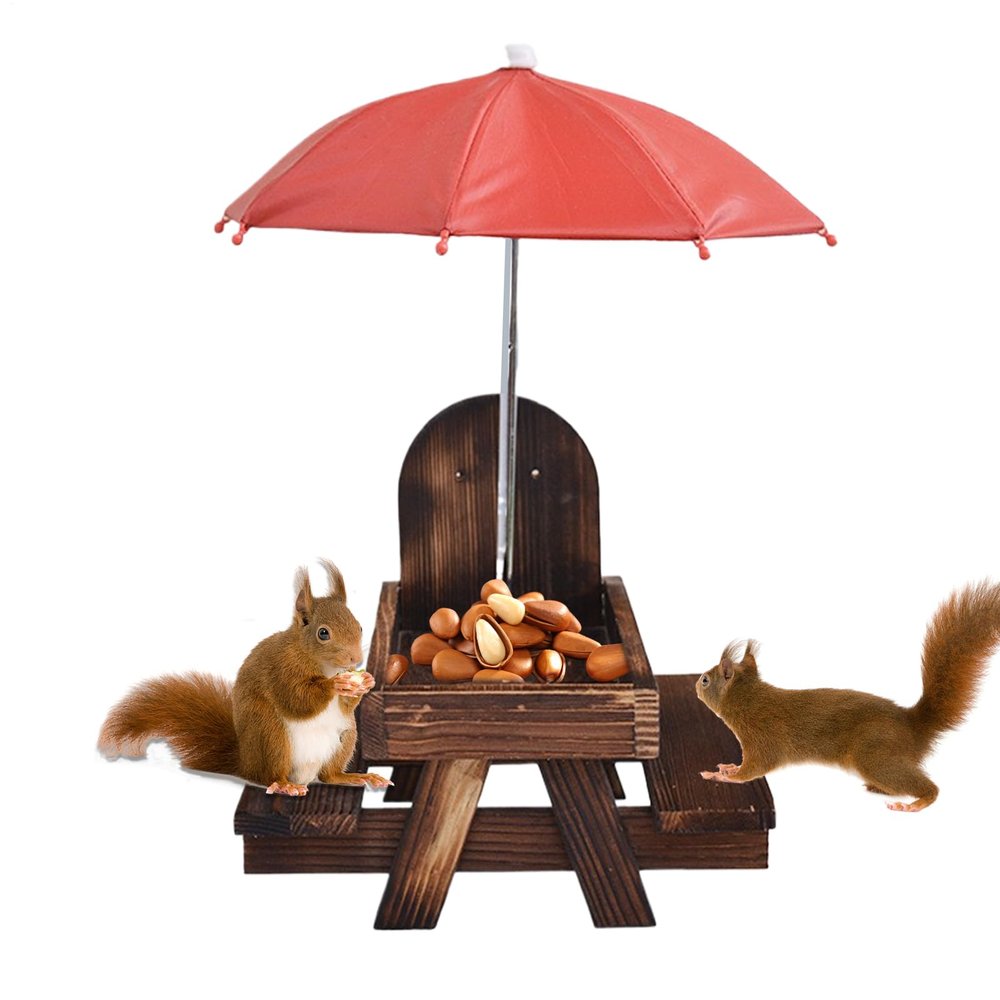 Outdoor Chipmunk Feeding Station, Wildlife Observation Station