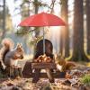 Outdoor Chipmunk Feeding Station, Wildlife Observation Station view 3