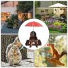 Outdoor Chipmunk Feeding Station, Wildlife Observation Station view 4