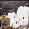 Artificial Pumpkins, 7-Piece Set for Harvest Decor and Table Centerpieces view 3