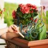 Palaufr Strawberry Plant Support – Strawberry Growing Frame, Bird Design Trellis for Garden, Balcony, Patio and Outdoors view 3