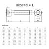 10-Piece M3 M4 M5 304 A2 Stainless Steel Hex Socket Cap Screws (45 mm, 10 pcs M3) view 2