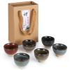 6-Piece Ceramic Tea Set for Kung Fu Tea, Japanese Sake Cups, Gift-Ready Ceramic Tea Service view 1