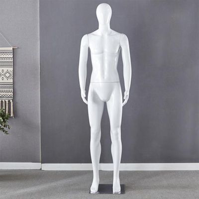 Male Mannequin with Head, Detachable Body and Rectangular Metal Base
