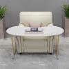 Professional Manicure Table with Marble Surface and Gold Metal Stand view 1