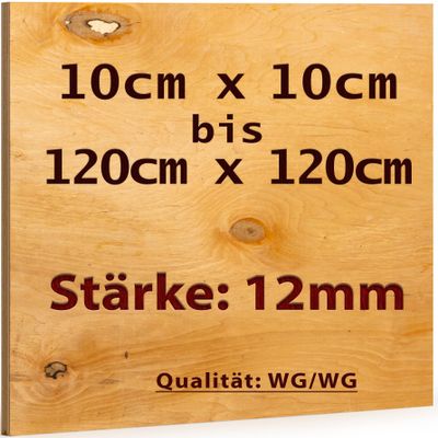 Plywood Panel 30 x 110 cm | 12 mm Thick | Cut-to-Size Multiplex