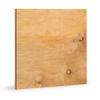 Plywood Panel 30 x 110 cm | 12 mm Thick | Cut-to-Size Multiplex view 4