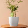 4-Piece Terracotta Plant Watering Spikes, Multicolor Glasses Design view 3