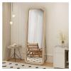 Generic Full-Length Mirror, Rectangular Floor Mirror with Stand, Oversized, for Dressing Room and Bedroom (2.60 x 160 cm) view 1