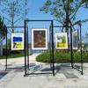 SARKEY Foldable Freestanding Poster and Picture Display Stand, 100 x 200 cm view 2