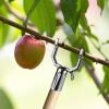 Adjustable Tree Branch Supports for Fruit Trees, Vines, and Climbing Plants view 3