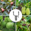 Adjustable Tree Branch Supports for Fruit Trees, Vines, and Climbing Plants view 4