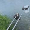 Stainless Steel Telescopic Water Sampler, 500/1000 mL, Adjustable Sampling Ladle, 0.98–2.5 m view 1