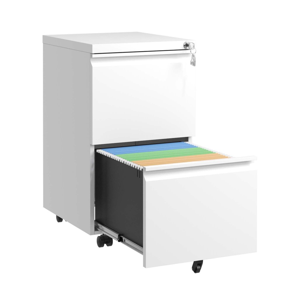 Mobile Metal Filing Cabinet with 2 Drawers and Lock, Fully Assembled