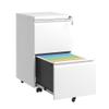 Mobile Metal Filing Cabinet with 2 Drawers and Lock, Fully Assembled view 1