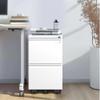 Mobile Metal Filing Cabinet with 2 Drawers and Lock, Fully Assembled view 2