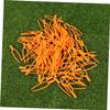 Toyvian Plastic Securing Clips for Tomato Vines and Strawberry Plants view 4