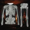 Caxndycing Men's Halloween Skull Tracksuit Set, 2-Piece Steampunk Gothic Skeleton Jogging Suit view 2