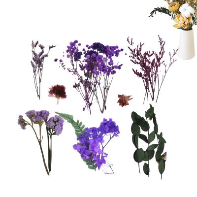 Huvqianu Natural Preserved Dried Flowers for Crafts