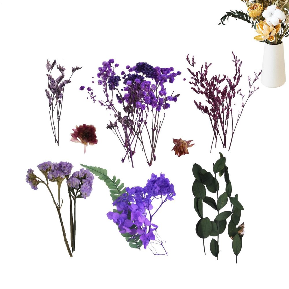 Huvqianu Natural Preserved Dried Flowers for Crafts