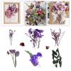Huvqianu Natural Preserved Dried Flowers for Crafts view 2