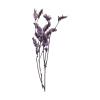 Huvqianu Natural Preserved Dried Flowers for Crafts view 4