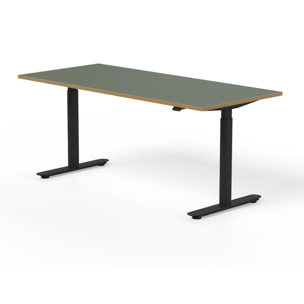 ofinto Rise Electric Height-Adjustable Desk, 120 x 80 cm, Olive Top, Black Legs, No Cable Management