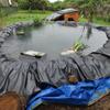 Outdoor Pond Liner, 0.12 mm Thick HDPE Membrane for Koi Ponds, Waterfalls and Garden Pools, 5 x 15 m view 4