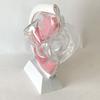 Transparent Uterus Model for Menstrual Cup Demonstration view 4