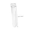 Glass Test Tube Vases, 4-Pack, for Hydroponics and Wall Decor view 2