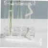 Glass Test Tube Vases, 4-Pack, for Hydroponics and Wall Decor view 4