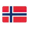 HDSKFNS Norwegian Flag Doormat view 1
